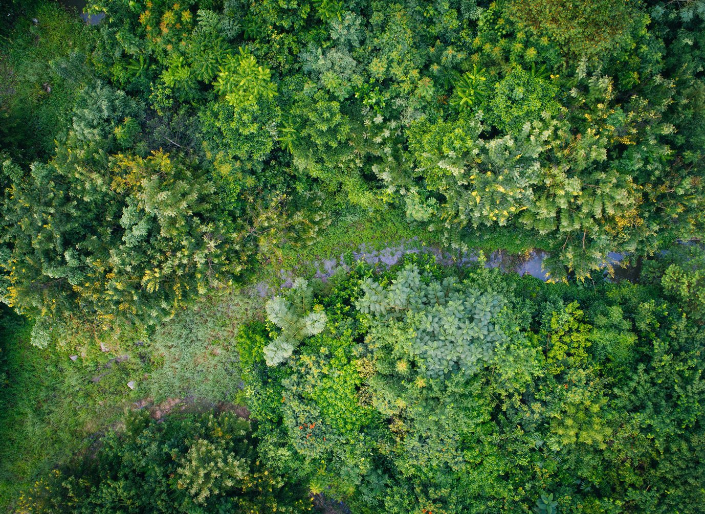TK Studio Landscape Architecture | Planing